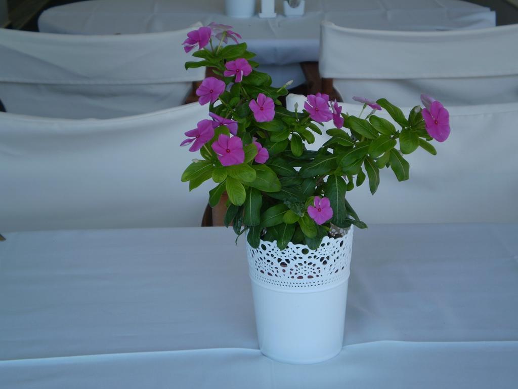 Athena Hotel Milopotamos  Buitenkant foto
