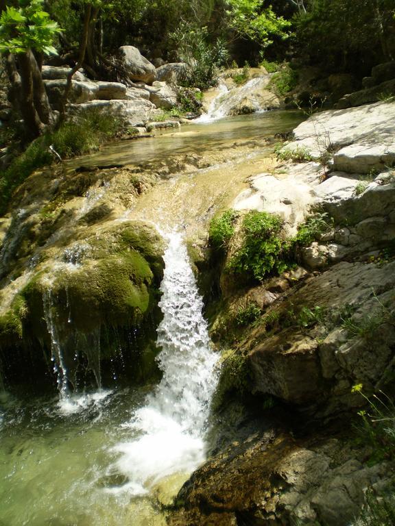 Athena Hotel Milopotamos  Buitenkant foto